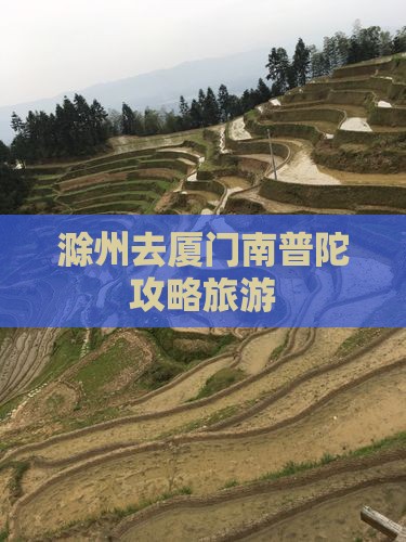滁州去厦门南普陀自由团