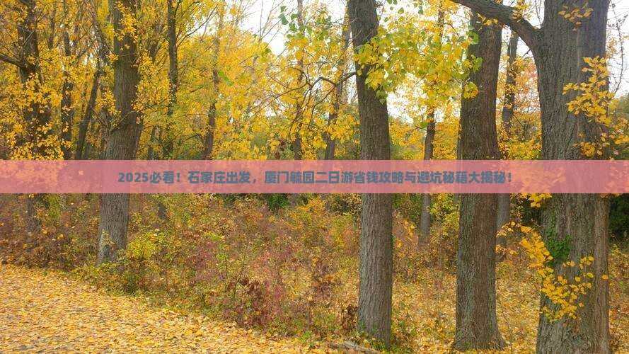 石家庄去厦门毓园二日游