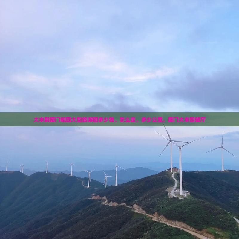大丰到厦门毓园大型旅游团