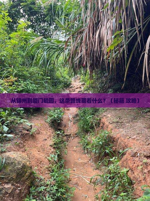 锦州到厦门毓园必去地