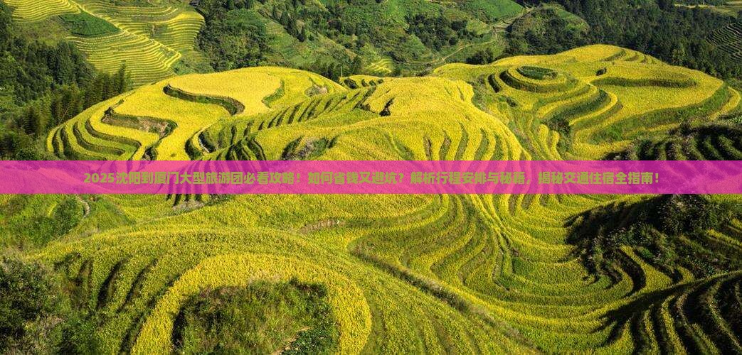 沈阳到厦门大型旅游团