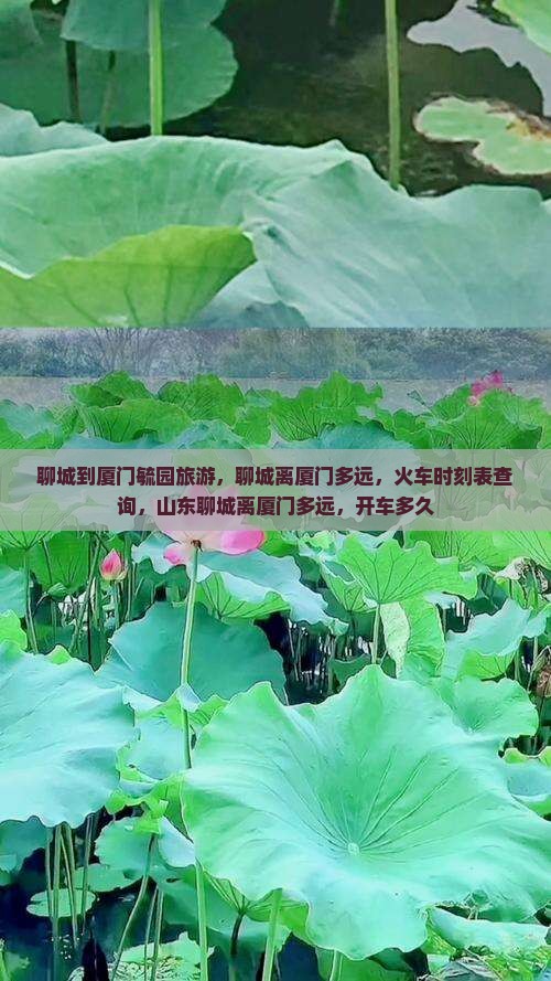 聊城到厦门毓园旅游