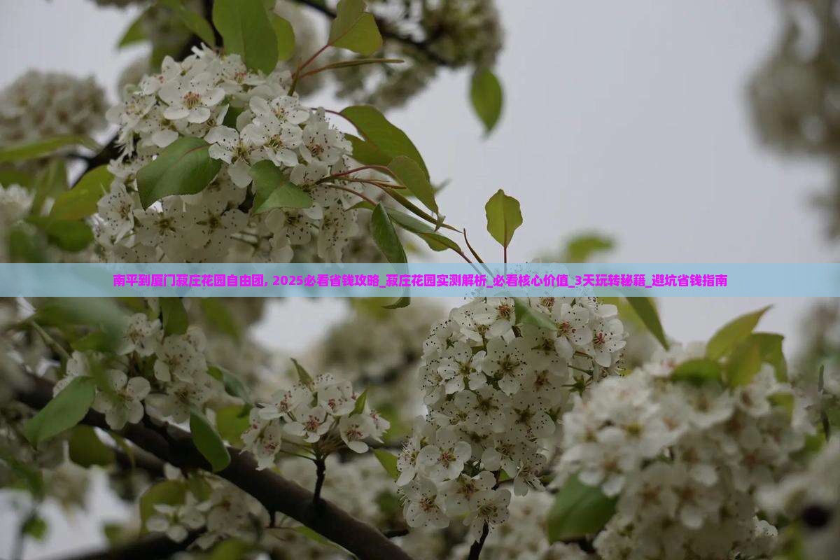 南平到厦门菽庄花园自由团