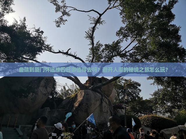 曲靖到厦门怀远楼四日游