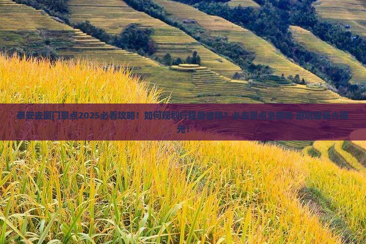 泰安去厦门景点
