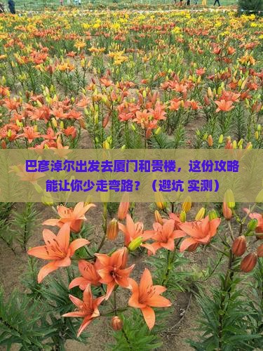 巴彦淖尔去厦门和贵楼必去地