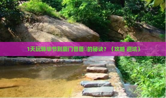 毕节到厦门曾厝埯一日