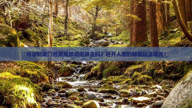 河源到厦门曾厝埯旅游