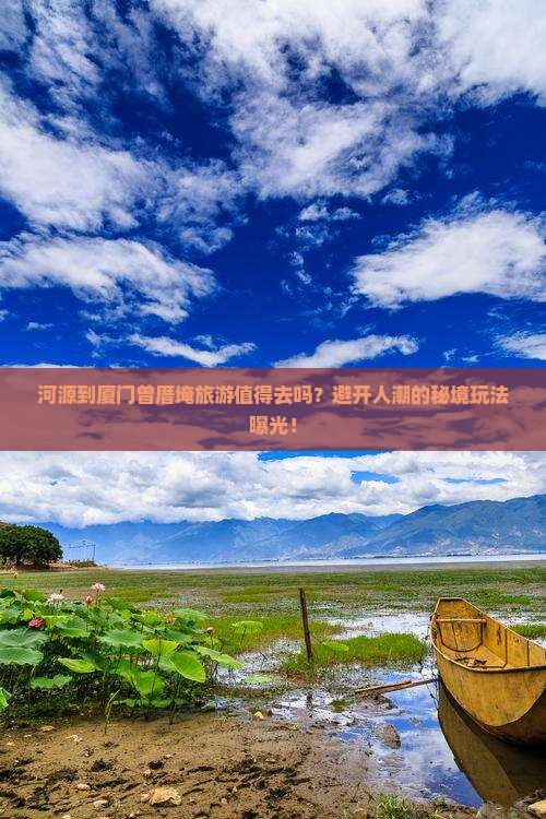 河源到厦门曾厝埯旅游