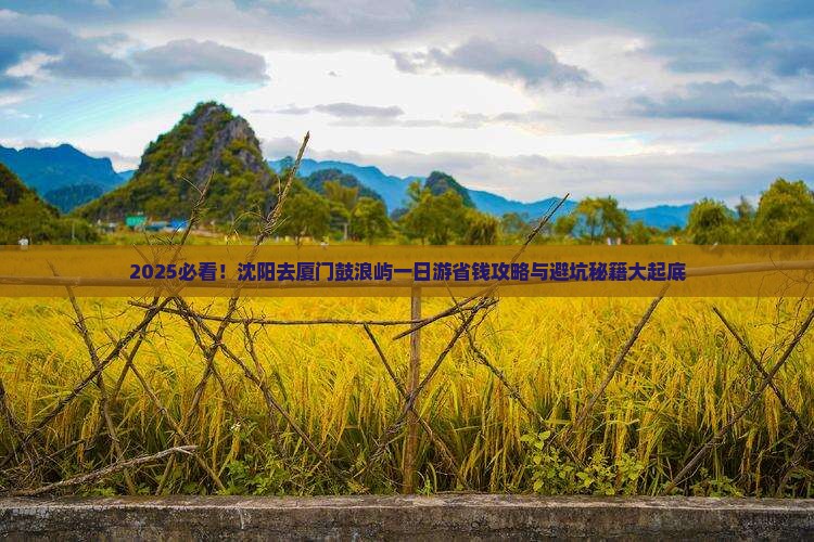沈阳去厦门鼓浪屿一日