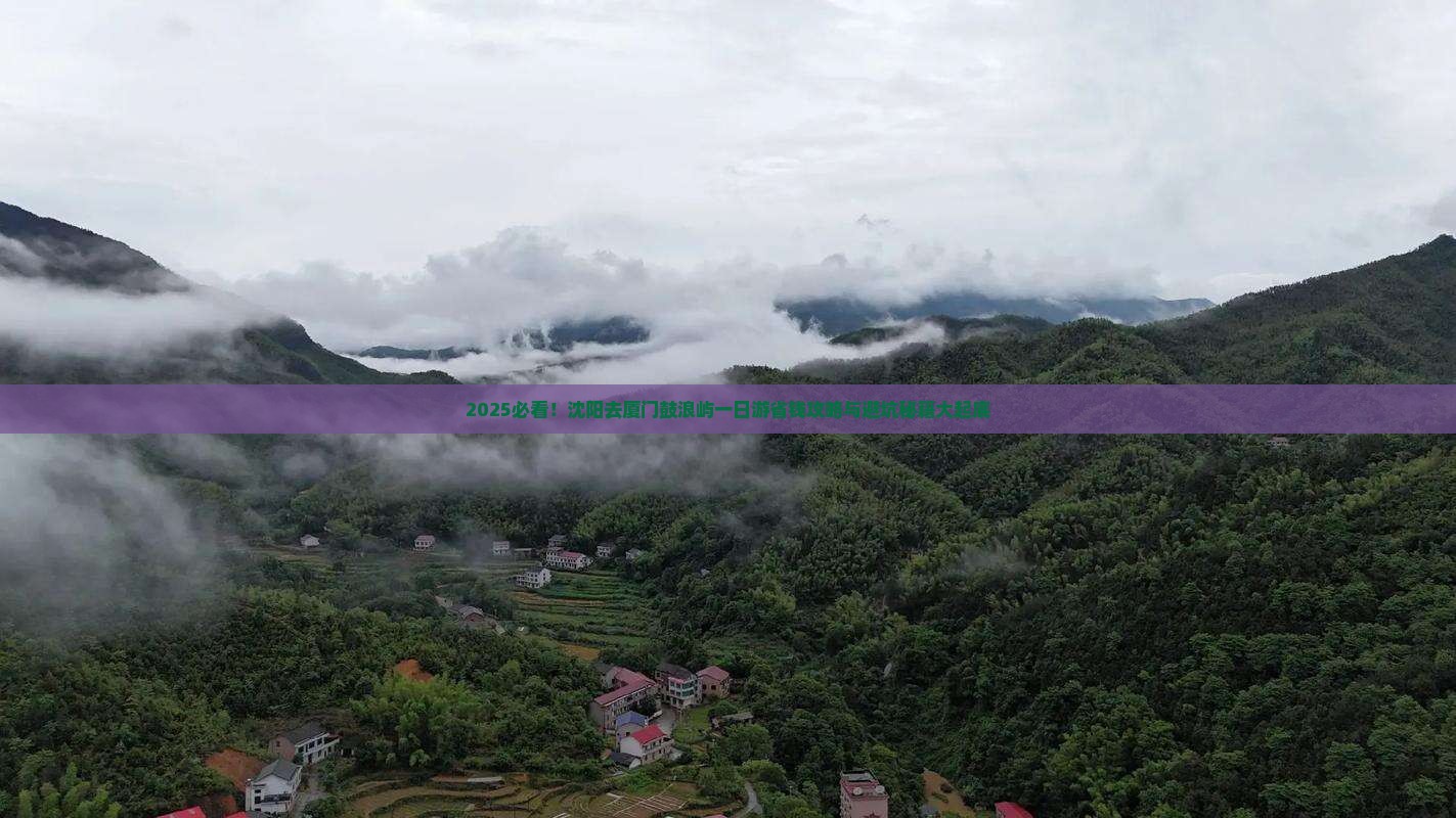 沈阳去厦门鼓浪屿一日