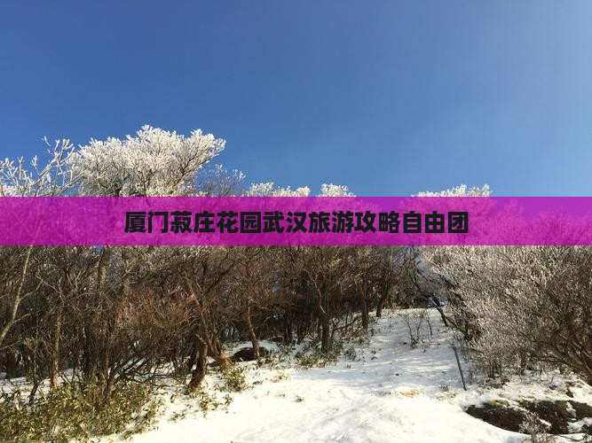 武汉到厦门菽庄花园自由团