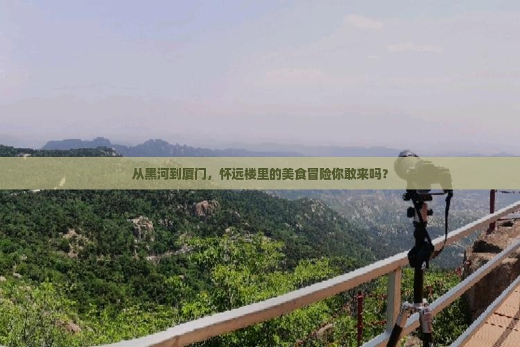 黑河到厦门怀远楼旅游小吃