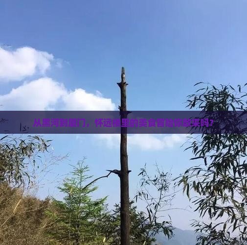黑河到厦门怀远楼旅游小吃