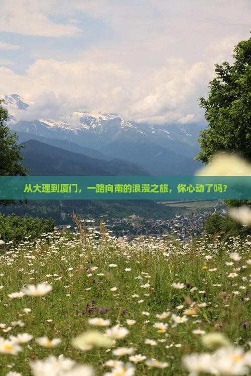 大理到厦门旅游