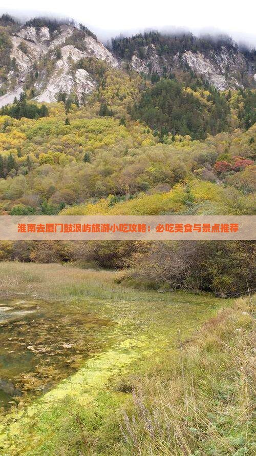 淮南去厦门鼓浪屿旅游小吃