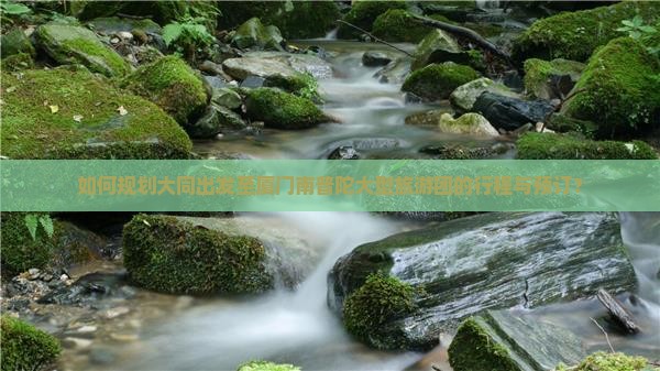 大同到厦门南普陀大型旅游团