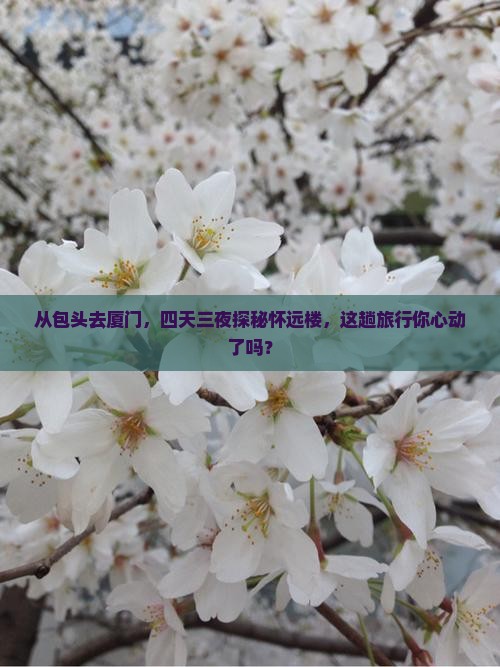 包头到厦门怀远楼四日游