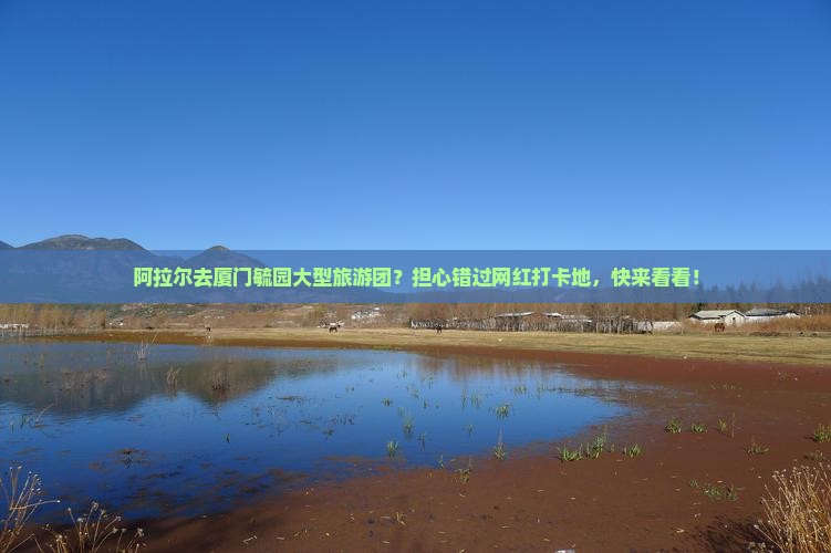 阿拉尔去厦门毓园大型旅游团