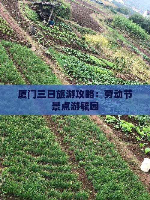 劳动节到厦门毓园三日游
