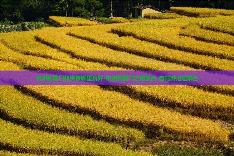 杭州到厦门和贵楼哪里玩