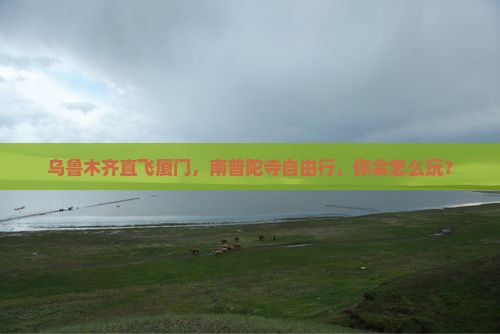 乌鲁木齐去厦门南普陀自由行
