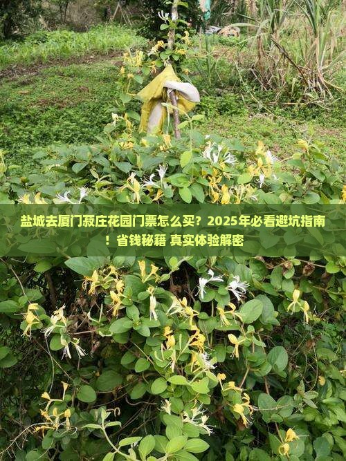 盐城去厦门菽庄花园门票