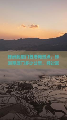 株洲到厦门曾厝埯景点