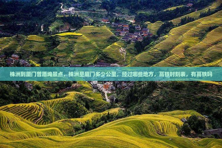 株洲到厦门曾厝埯景点