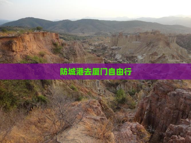 防城港去厦门自由行