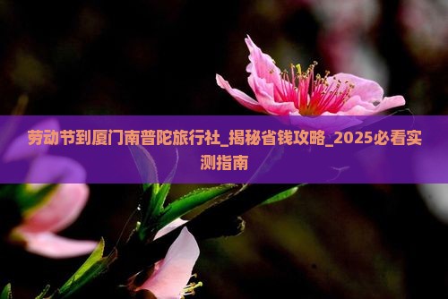 劳动节到厦门南普陀旅行社
