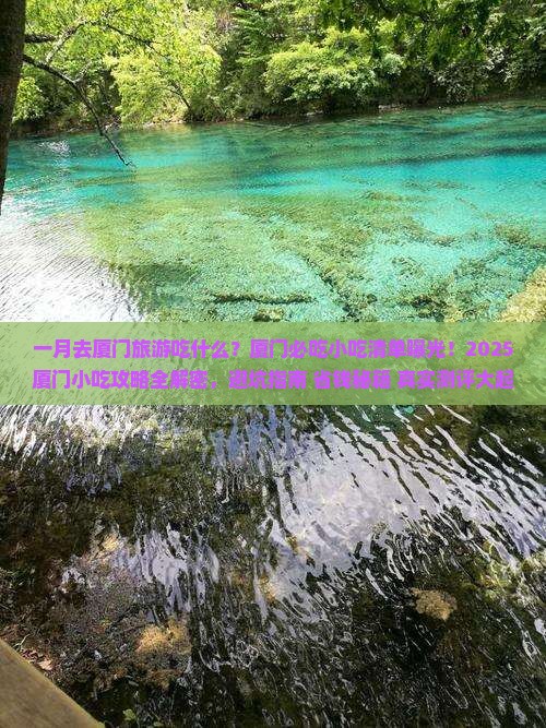 一月到厦门旅游小吃