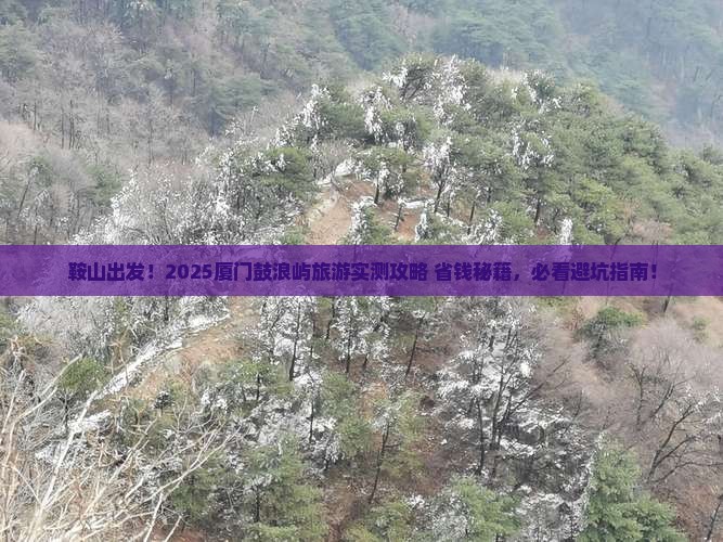 鞍山到厦门鼓浪屿旅游