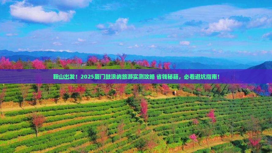 鞍山到厦门鼓浪屿旅游