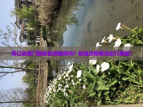 周口去厦门团体旅游