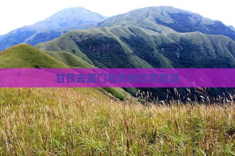 甘孜去厦门和贵楼个人游