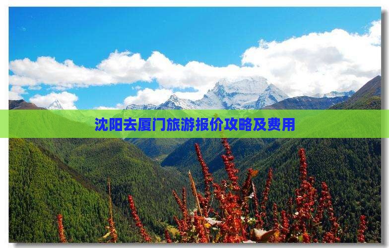 沈阳去厦门旅游