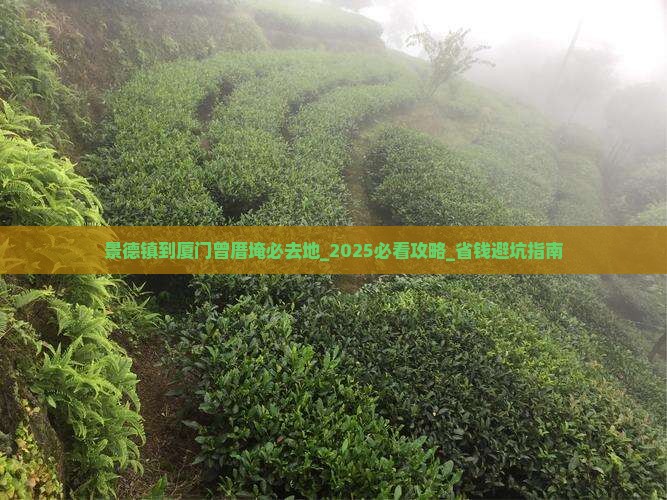 景德镇到厦门曾厝埯必去地