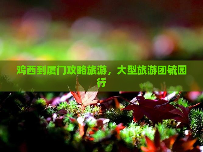 鸡西到厦门毓园大型旅游团