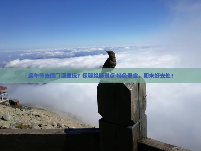 端午节去厦门哪里玩