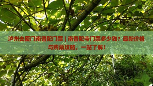 泸州去厦门南普陀门票