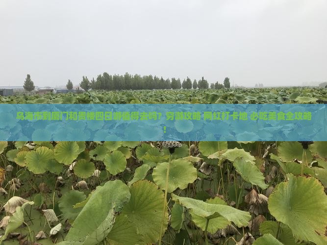 乌海市到厦门和贵楼四日游