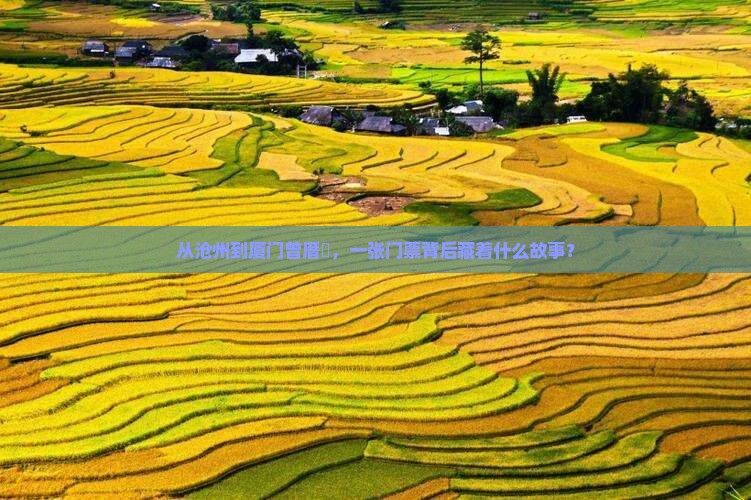 沧州去厦门曾厝埯门票