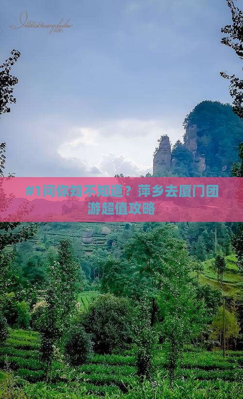 萍乡到厦门团体旅游