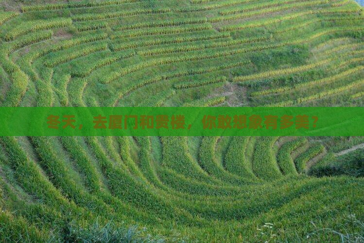 冬天到厦门和贵楼自由团