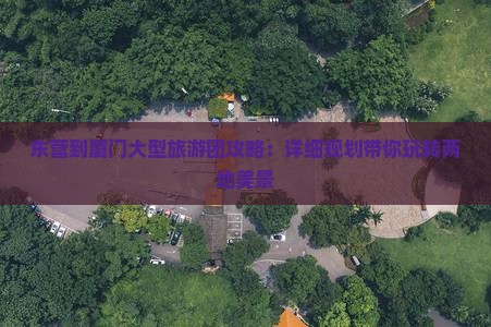 东营到厦门大型旅游团