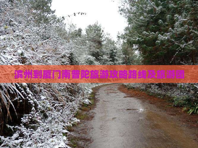 滨州到厦门南普陀旅游