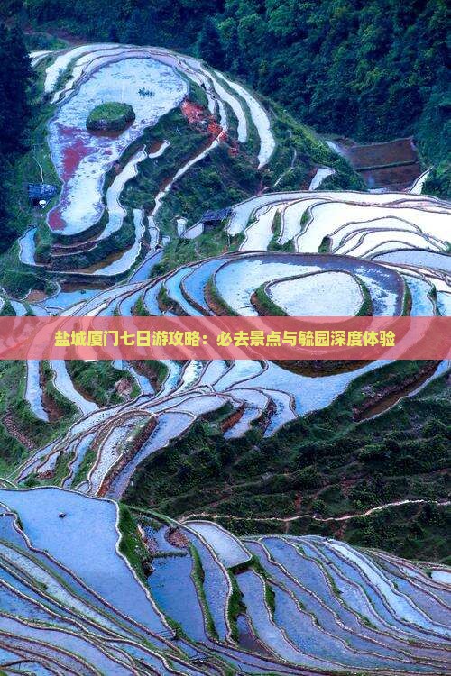 盐城去厦门毓园七日游