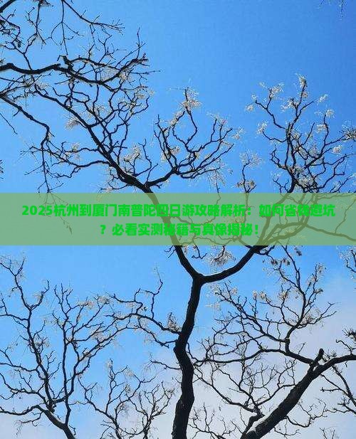 杭州到厦门南普陀四日游