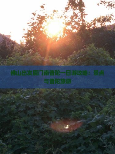 佛山到厦门南普陀一日